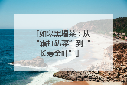 如皋黑塌菜：从“霜打趴菜”到“长寿金叶”