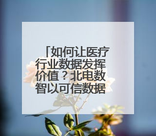 如何让医疗行业数据发挥价值？北电数智以可信数据空间破局
