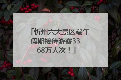 忻州六大景区端午假期接待游客33.68万人次！