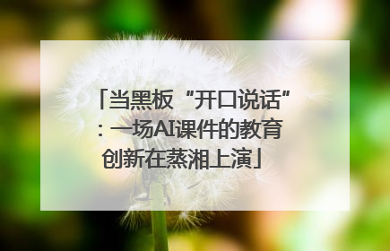 当黑板“开口说话”：一场AI课件的教育创新在蒸湘上演
