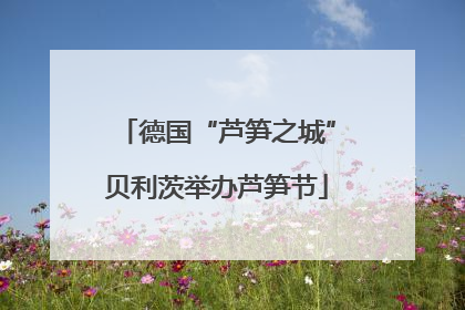 德国“芦笋之城”贝利茨举办芦笋节