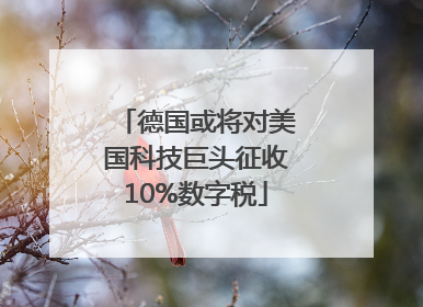 德国或将对美国科技巨头征收10%数字税