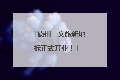 德州一文旅新地标正式开业！