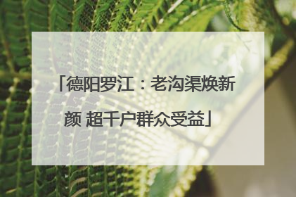 德阳罗江：老沟渠焕新颜 超千户群众受益