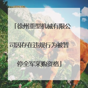 徐州重型机械有限公司因存在违规行为被暂停全军采购资格