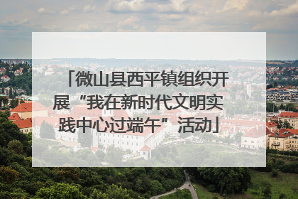 微山县西平镇组织开展“我在新时代文明实践中心过端午”活动