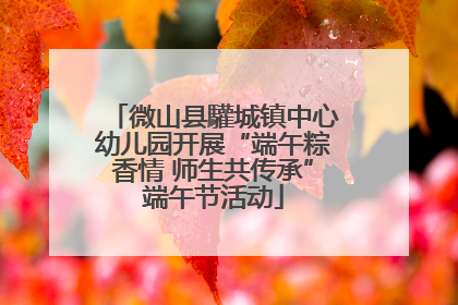 微山县驩城镇中心幼儿园开展“端午粽香情 师生共传承”端午节活动