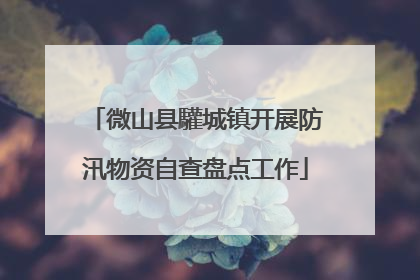 微山县驩城镇开展防汛物资自查盘点工作