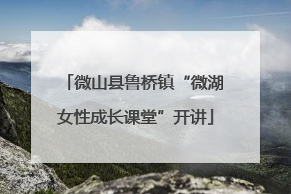 微山县鲁桥镇“微湖女性成长课堂”开讲