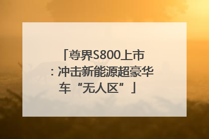 尊界S800上市：冲击新能源超豪华车“无人区”