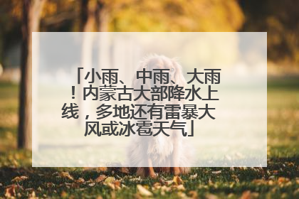 小雨、中雨、大雨！内蒙古大部降水上线，多地还有雷暴大风或冰雹天气