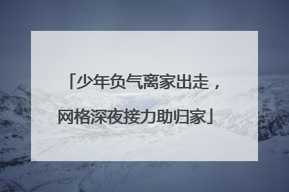 少年负气离家出走，网格深夜接力助归家