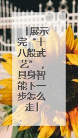 展示完“十八般武艺”，具身智能下一步怎么走