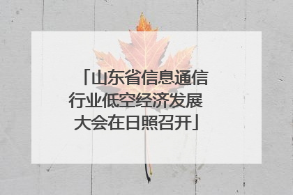 山东省信息通信行业低空经济发展大会在日照召开