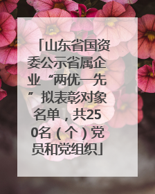 山东省国资委公示省属企业“两优一先”拟表彰对象名单，共250名（个）党员和党组织