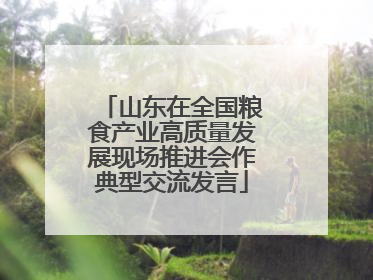山东在全国粮食产业高质量发展现场推进会作典型交流发言