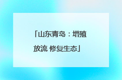 山东青岛：增殖放流 修复生态
