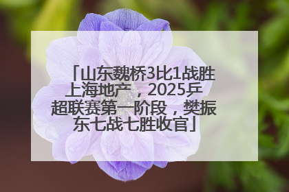 山东魏桥3比1战胜上海地产，2025乒超联赛第一阶段，樊振东七战七胜收官
