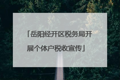 岳阳经开区税务局开展个体户税收宣传