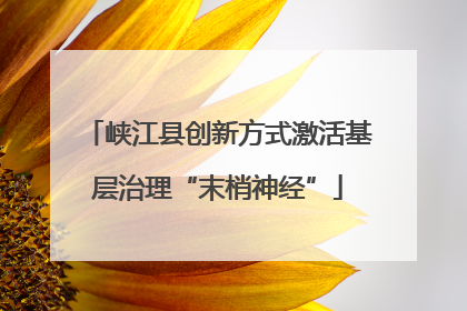 峡江县创新方式激活基层治理“末梢神经”