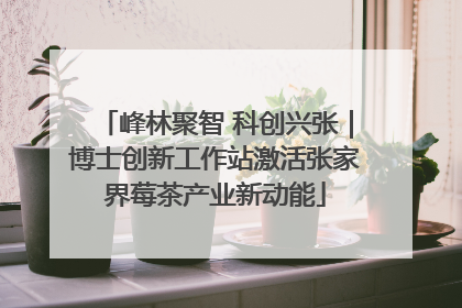 峰林聚智 科创兴张｜博士创新工作站激活张家界莓茶产业新动能