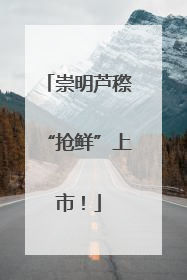 崇明芦穄“抢鲜”上市！