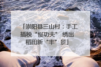 崇阳县三山村：手工插秧“慢功夫” 绣出稻田新“丰”景