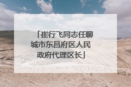 崔行飞同志任聊城市东昌府区人民政府代理区长