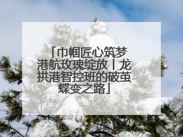 巾帼匠心筑梦 港航玫瑰绽放丨龙拱港智控班的破茧蝶变之路
