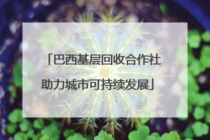 巴西基层回收合作社助力城市可持续发展