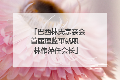 巴西林氏宗亲会首届理监事就职 林伟萍任会长