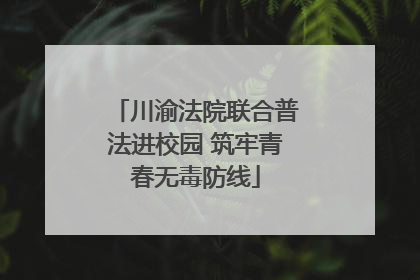 川渝法院联合普法进校园 筑牢青春无毒防线