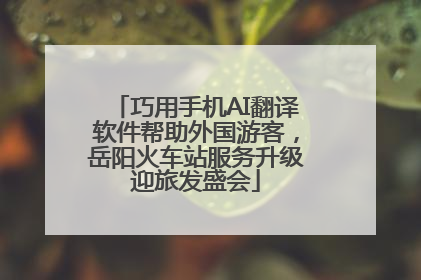 巧用手机AI翻译软件帮助外国游客，岳阳火车站服务升级迎旅发盛会