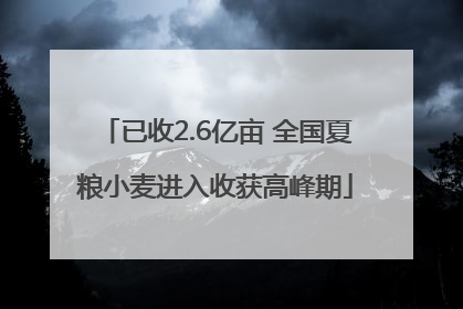 已收2.6亿亩 全国夏粮小麦进入收获高峰期