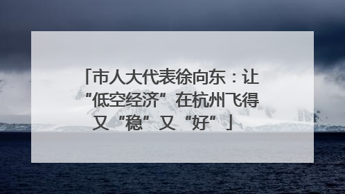 市人大代表徐向东：让“低空经济”在杭州飞得又“稳”又“好”