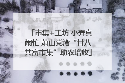 市集+工坊 小弄真闹忙 萧山党湾“廿八共富市集”助农增收