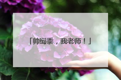 帅蜀黍，我老师！