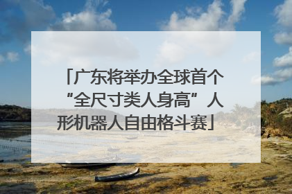 广东将举办全球首个“全尺寸类人身高”人形机器人自由格斗赛