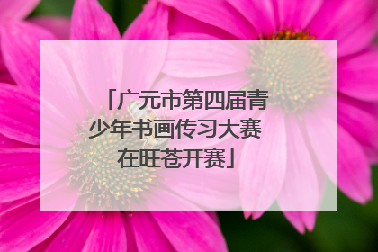广元市第四届青少年书画传习大赛在旺苍开赛