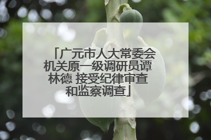 广元市人大常委会机关原一级调研员谭林德 接受纪律审查和监察调查
