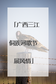 广西三江侗族河歌节展风情
