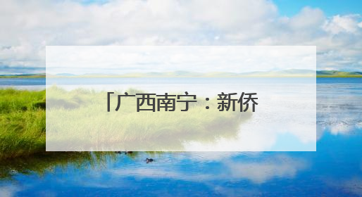 广西南宁：新侨代表共叙端午情