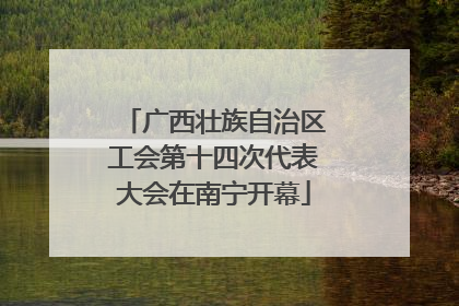 广西壮族自治区工会第十四次代表大会在南宁开幕