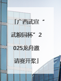 广西武宣“武粮园杯”2025龙舟邀请赛开桨