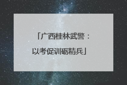 广西桂林武警：以考促训砺精兵