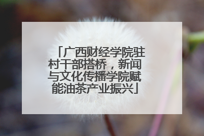 广西财经学院驻村干部搭桥，新闻与文化传播学院赋能油茶产业振兴