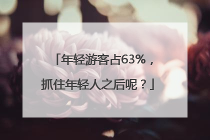 年轻游客占63%，抓住年轻人之后呢？