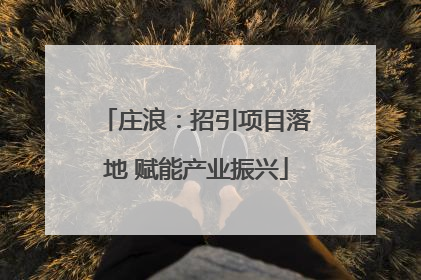 庄浪：招引项目落地 赋能产业振兴