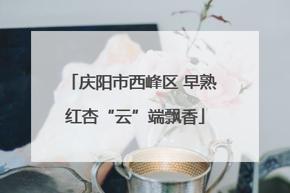 庆阳市西峰区 早熟红杏“云”端飘香