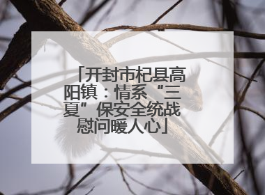 开封市杞县高阳镇：情系“三夏”保安全统战慰问暖人心